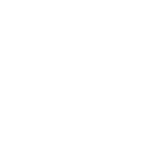 Custom social icon