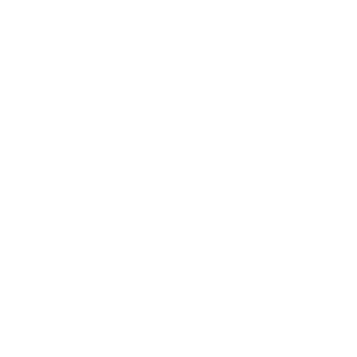 Custom social icon
