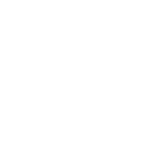 Custom social icon